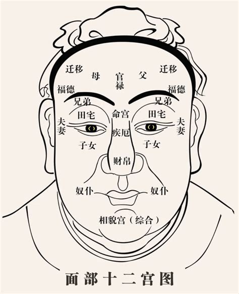 惡人面相|惡人的面相怎麼看